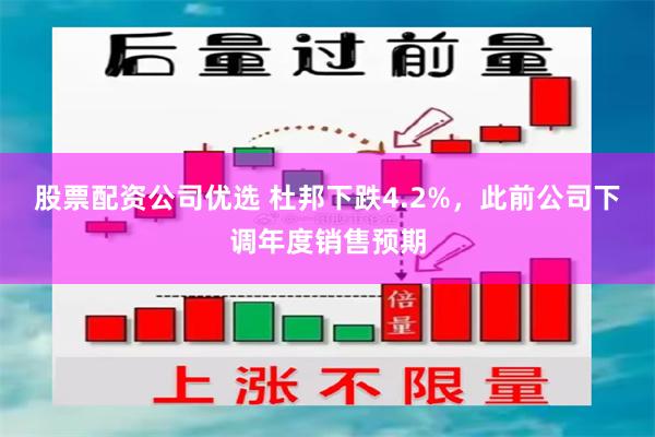 股票配资公司优选 杜邦下跌4.2%，此前公司下调年度销售预期