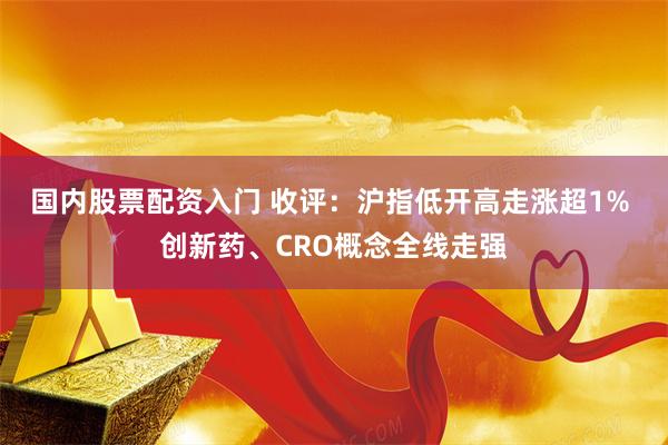 国内股票配资入门 收评：沪指低开高走涨超1% 创新药、CRO概念全线走强