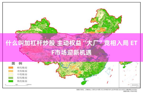 什么叫加杠杆炒股 主动权益“大厂”竞相入局 ETF市场迎新机遇