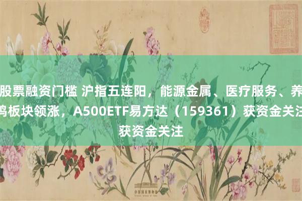股票融资门槛 沪指五连阳，能源金属、医疗服务、养鸡板块领涨，A500ETF易方达（159361）获资金关注