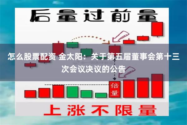 怎么股票配资 金太阳：关于第五届董事会第十三次会议决议的公告