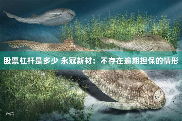 股票杠杆是多少 永冠新材：不存在逾期担保的情形