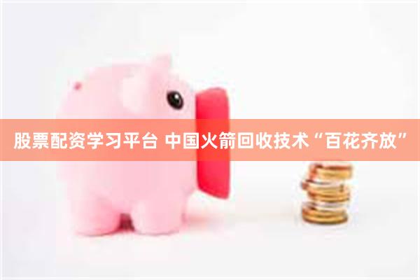 股票配资学习平台 中国火箭回收技术“百花齐放”
