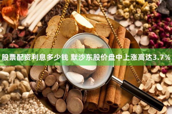 股票配资利息多少钱 默沙东股价盘中上涨高达3.7%