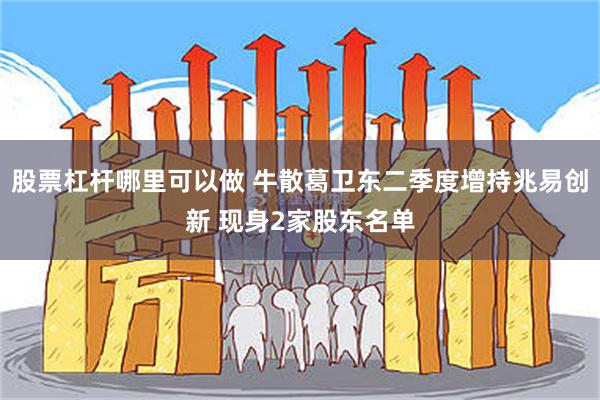 股票杠杆哪里可以做 牛散葛卫东二季度增持兆易创新 现身2家股东名单