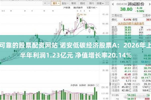 可靠的股票配资网站 诺安低碳经济股票A：2026年上半年利润1.23亿元 净值增长率20.14%