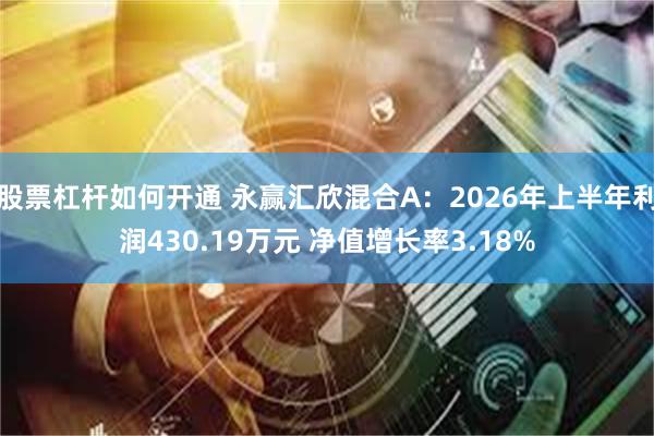 股票杠杆如何开通 永赢汇欣混合A：2026年上半年利润430.19万元 净值增长率3.18%