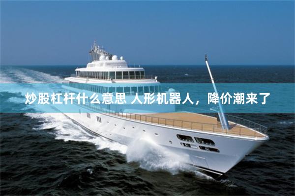炒股杠杆什么意思 人形机器人，降价潮来了