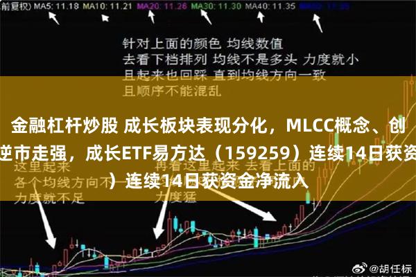 金融杠杆炒股 成长板块表现分化，MLCC概念、创新药板块逆市走强，成长ETF易方达（159259）连续14日获资金净流入