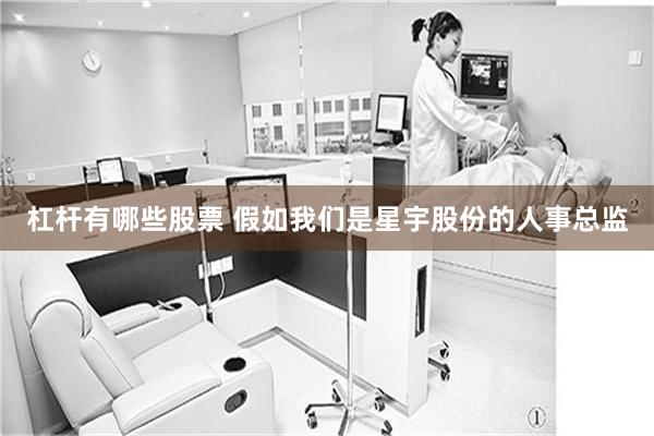 杠杆有哪些股票 假如我们是星宇股份的人事总监