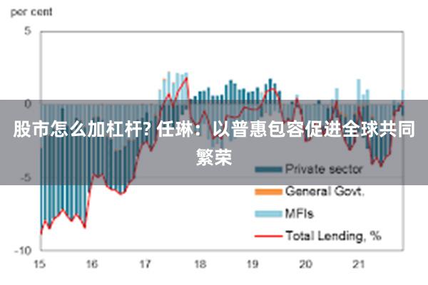 股市怎么加杠杆? 任琳：以普惠包容促进全球共同繁荣