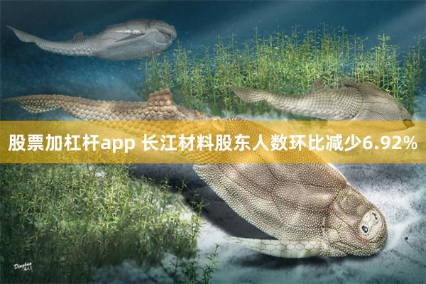 股票加杠杆app 长江材料股东人数环比减少6.92%