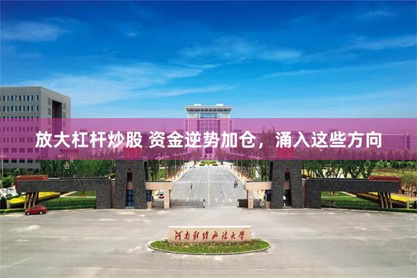 放大杠杆炒股 资金逆势加仓，涌入这些方向