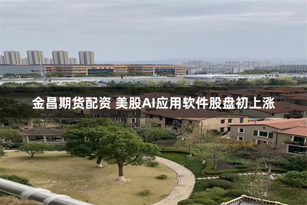 金昌期货配资 美股AI应用软件股盘初上涨