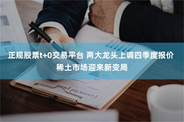 正规股票t+0交易平台 两大龙头上调四季度报价 稀土市场迎来新变局